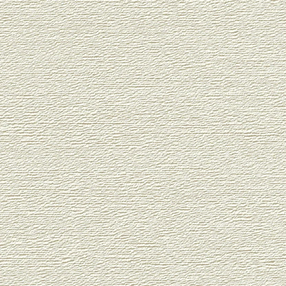 Artisan Plaster Textured Canvas
