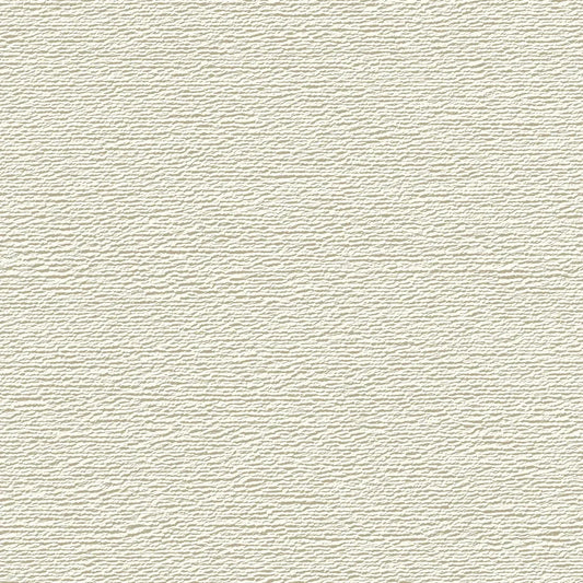 Artisan Plaster Textured Canvas