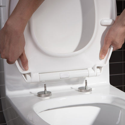 WOODBRIDGE Moder Design, Elongated One piece Toilet Dual flush 1.0/1.6 GPF,with Soft Closing Seat, white, (2 -Pack)