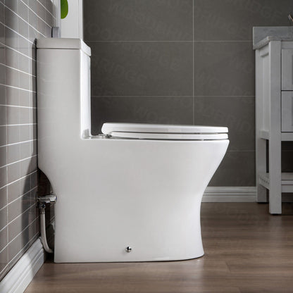 WOODBRIDGE One Piece Short Compact Bathroom Tiny Mini Commode Water Closet Dual Flush Concealed Trapway