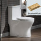 WOODBRIDGE One Piece Short Compact Bathroom Tiny Mini Commode Water Closet Dual Flush Concealed Trapway