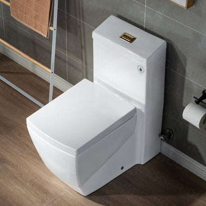 WOODBRIDGE Modern Square Design One Piece Dual Flush 1.28 GP Toilet,Chair Height with Soft Closing Seat
