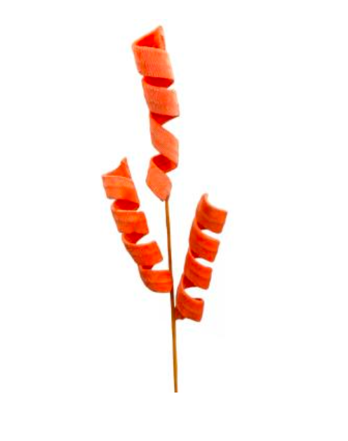 Curly Spray  H24 orange