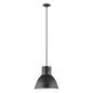 Division Street 1-Light Pendant
