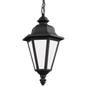 Brentwood Outdoor Pendant 69025