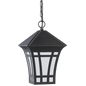 Herrington One Light Outdoor Pendant 69131