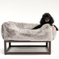 The FÜZI Dog Bed