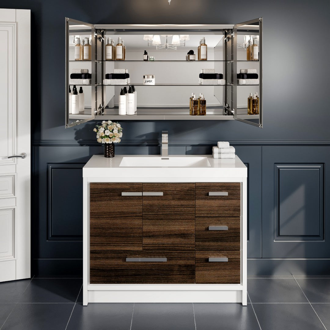 Eviva Lazy Mirror Medicine Cabinet with No Light