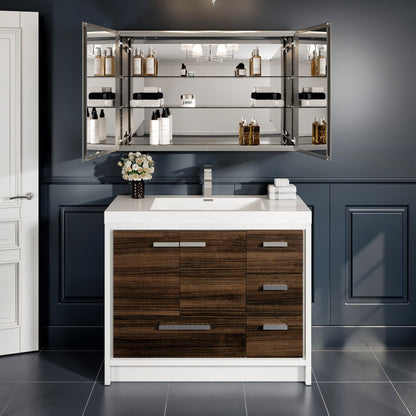 Eviva Lazy Mirror Medicine Cabinet with No Light