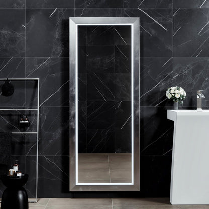 Eviva Sofy 24" x 67" Rectangular Aluminum Aluminum Framed Mirror