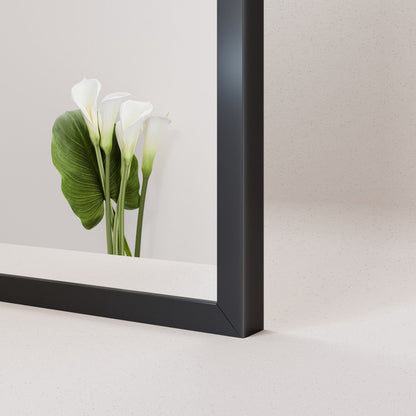 Eviva Black Black Metal Framed Mirror
