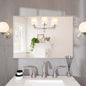 Eviva Vista Brushed Nickel Metal Framed Mirror