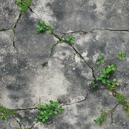 Urban Kintsugi Garden