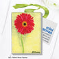 Rose Gerber, Mini Canvas (MC-7064B)