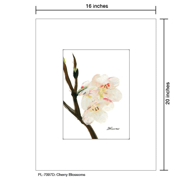 Cherry Blossoms, Print (#7097D)
