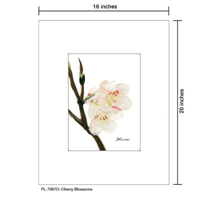 Cherry Blossoms, Print (#7097D)