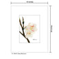 Cherry Blossoms, Print (#7097D)