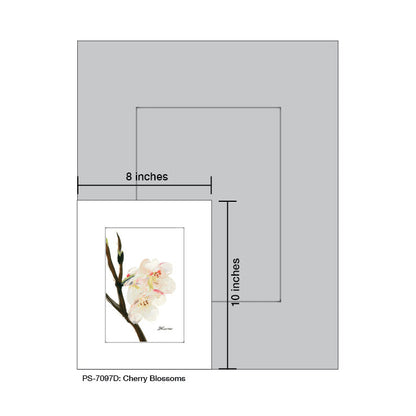Cherry Blossoms, Print (#7097D)