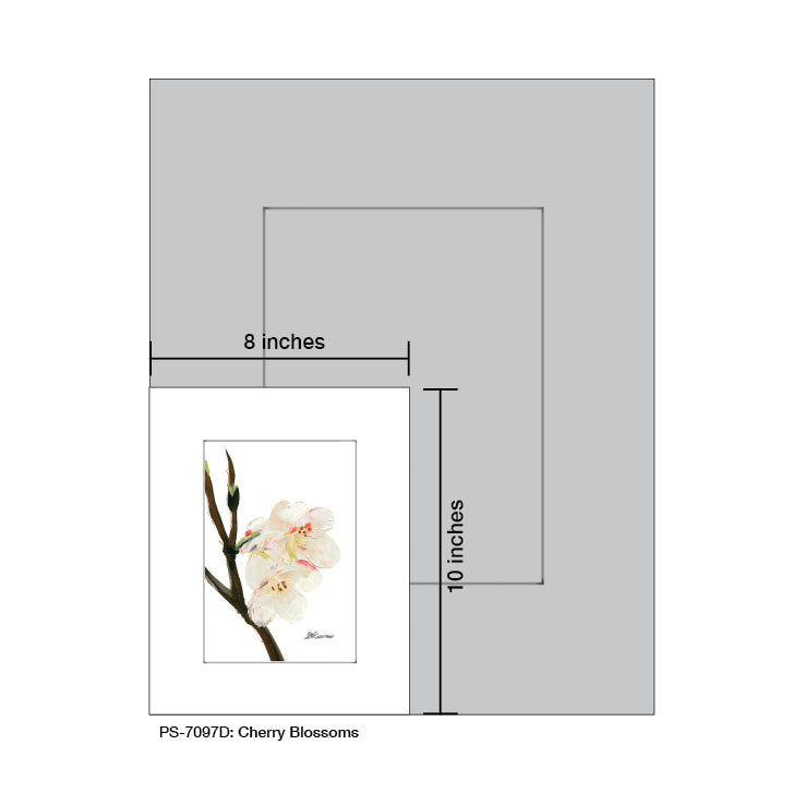 Cherry Blossoms, Print (#7097D)