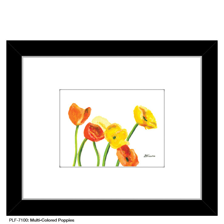 Multi-Colored Poppies, Print (#7100A)