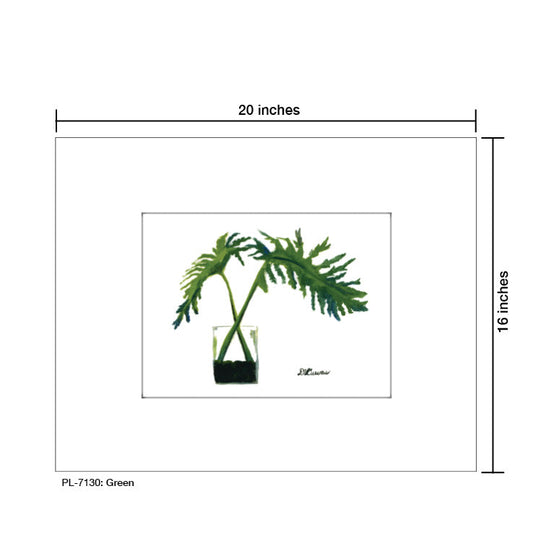 Green, Print (#7130A)