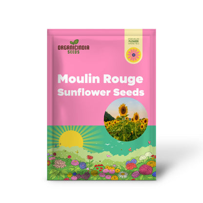 Moulin Rouge Sunflower Seeds, Exquisite Deep Red Blooms with Stunning Garden