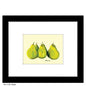 Pears, Print (#7137A)