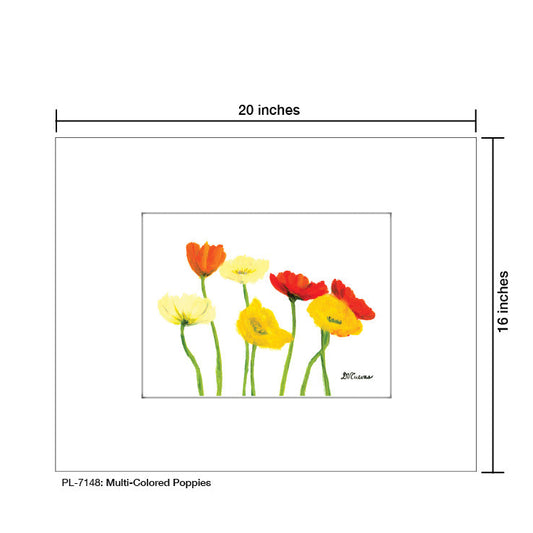 Multi-Colored Poppies on White, Print (#7148A)