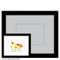 Multi-Colored Poppies on White, Print (#7148A)