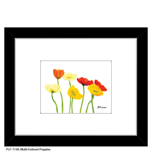 Multi-Colored Poppies on White, Print (#7148A)