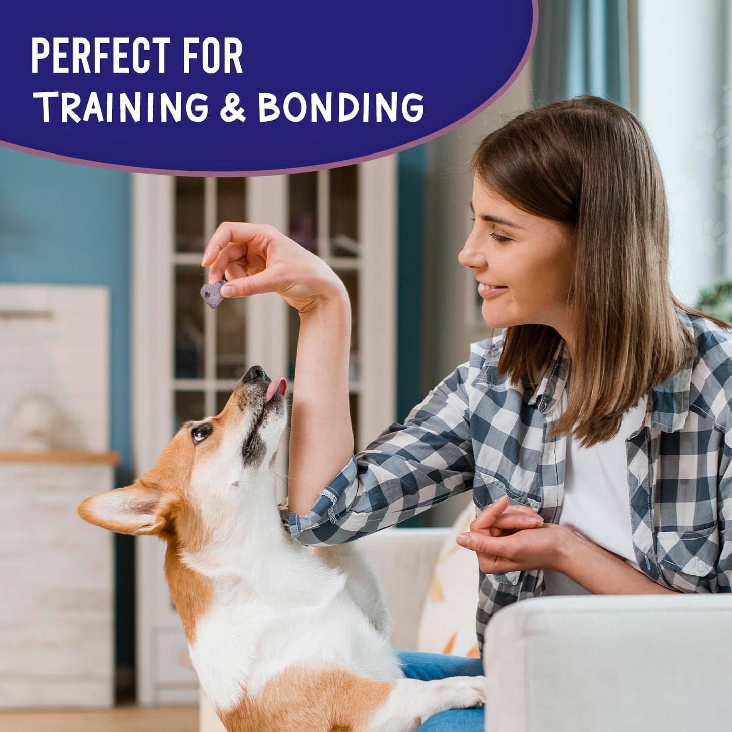 Much Loved Dog Training reward Treats - Variety Pack (2-Pack)