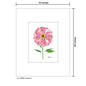 Peony 3, Print (#7258C)