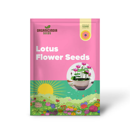 Premium Mix Colour Lotus Flower Seeds for Vibrant Gardening  Perfect for Home and Outdoor Gardens