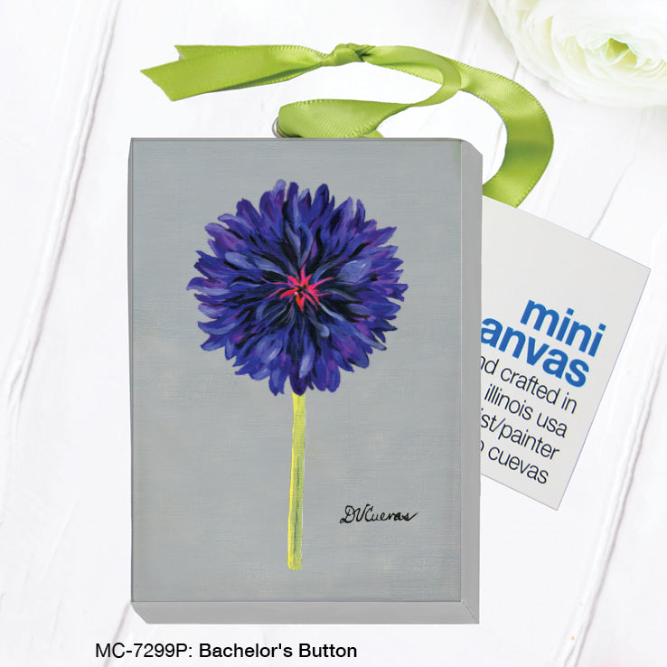 Bachelor's Button, Mini Canvas (MC-7299P)