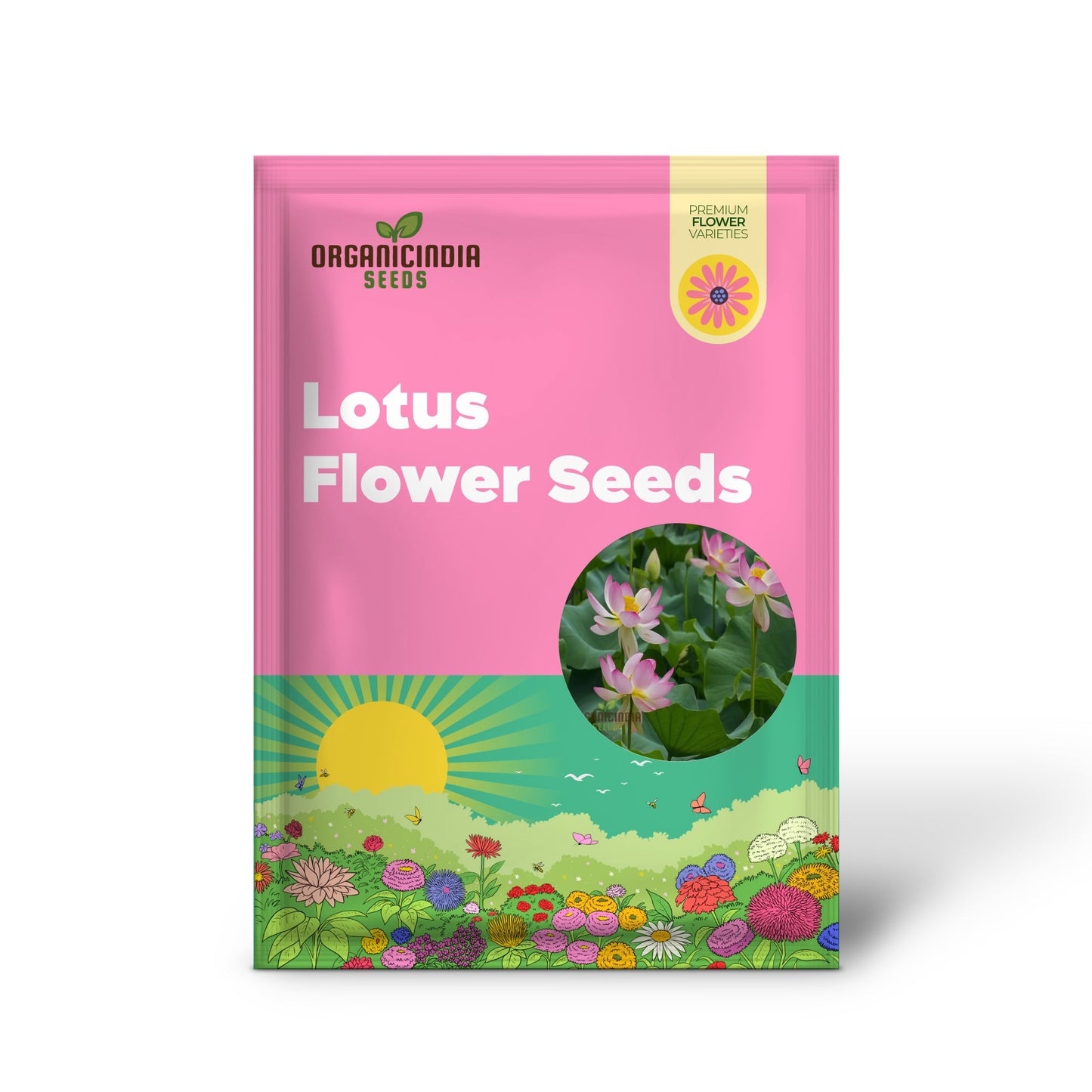 Nelumbo Nucifera, Lotus (Mixed Colors) Seeds  Grow Your Own Stunning and Varied Lotus Flowers