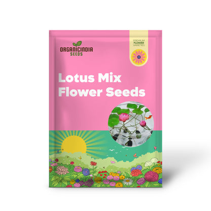 Lotus Mix Flower Seeds   All Mix Colors  Bring Positive Vibrations to Your Garden with Vaastu Shastra Guidance