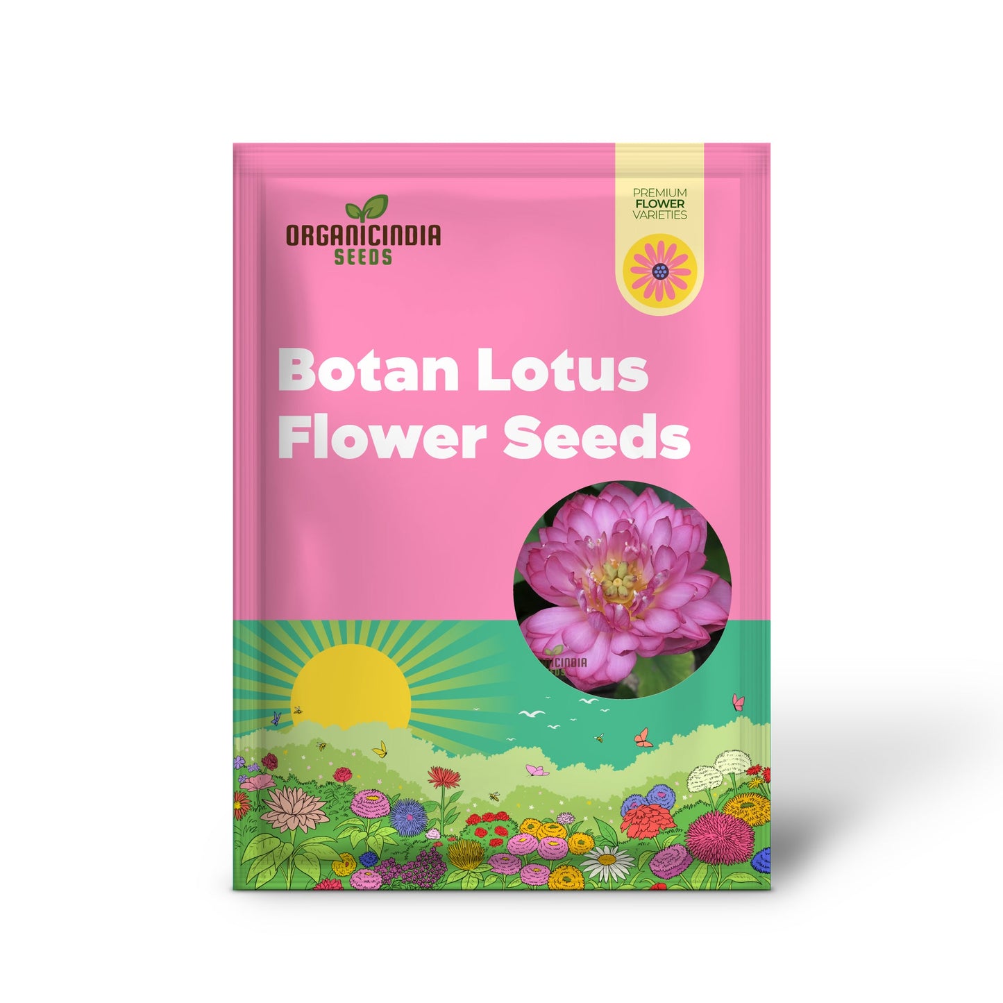 Momo Botan Lotus Flower Seeds Exquisite Pink Blooms, Easy Planting Instructions Included
