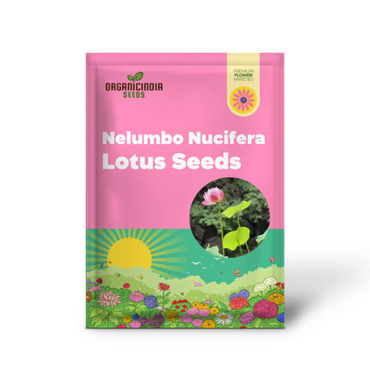 Nelumbo Nucifera Lotus Pink, Water Plant, Fresh Seeds for Gardening Enthusiasts  Premium Quality Organic Seeds
