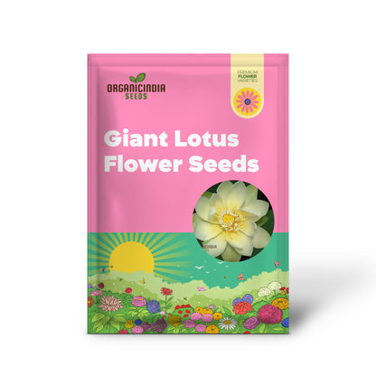 Giant Sunburst Lotus Flower Seeds for Planting, High Quality Seeds for Stunning Garden Blooms