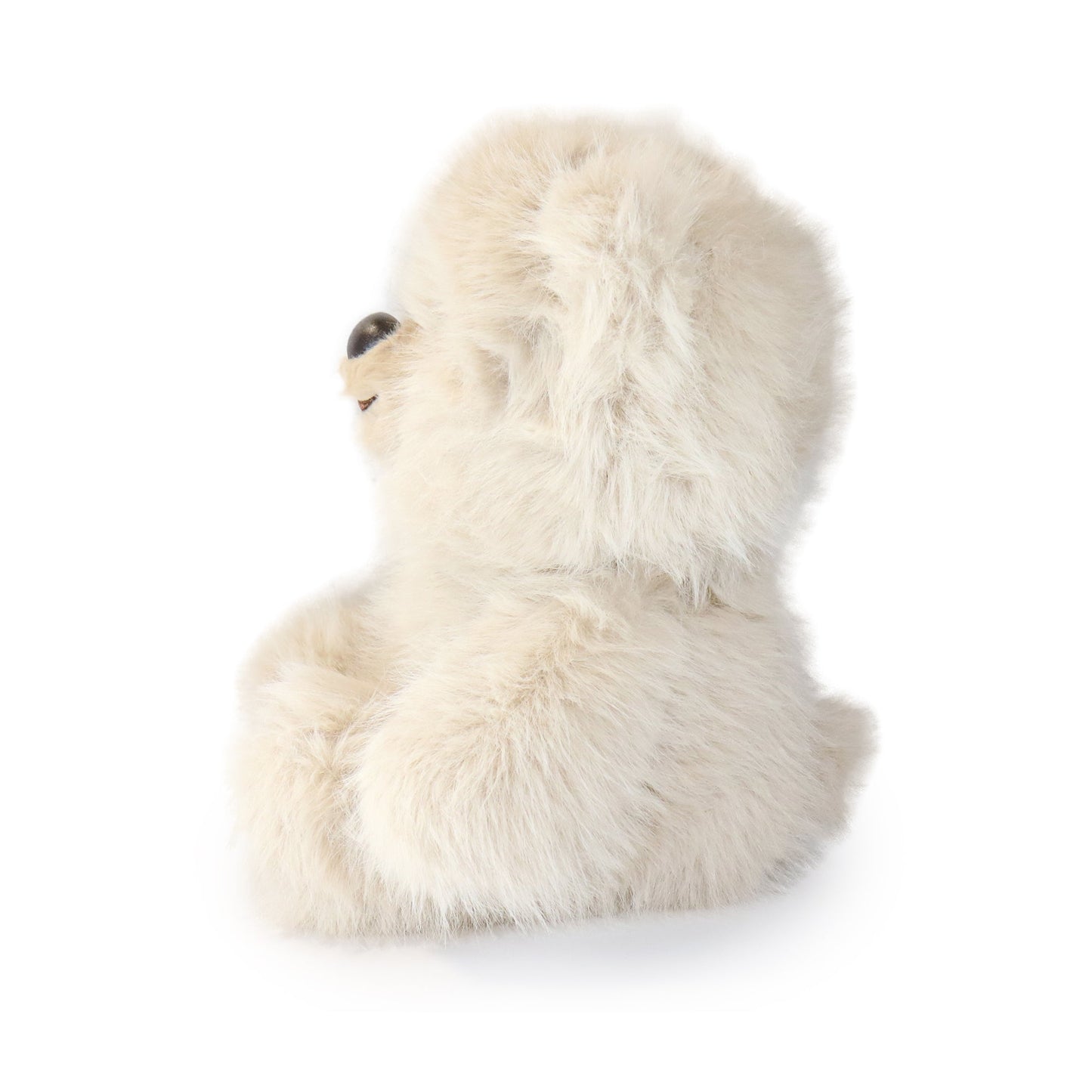Honeywood Bear
