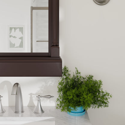 Eviva Preston Aged Chocolate Solid Wood Framed Mirror