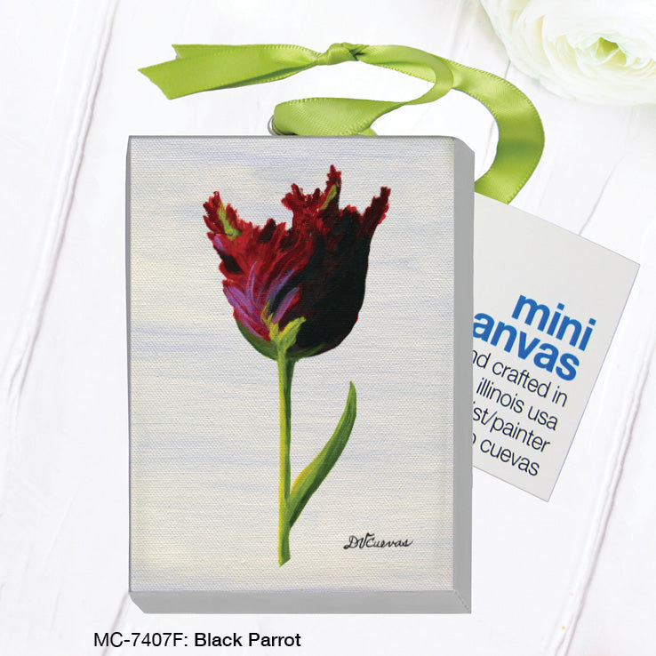 Black Parrot, Mini Canvas (MC-7407F)