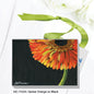 Gerber Orange on Black, Mini Canvas (MC-7432A)
