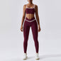 Quick Dry Fitness Leggings and Top for Women
