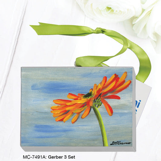 Gerber 3 Set, Mini Canvas (MC-7491A)