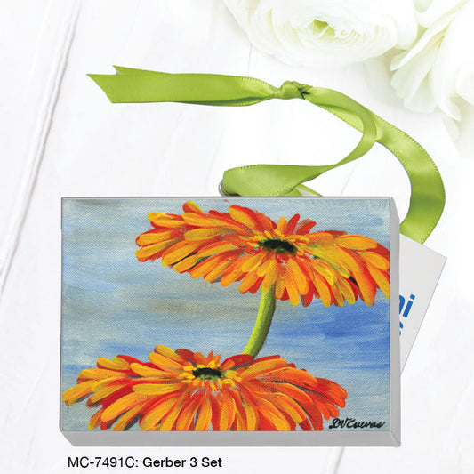 Gerber 3 Set, Mini Canvas (MC-7491C)