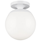 Leo Hanging Globe One Light Wall / Ceiling Semi-Flush Mount