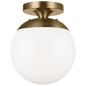 Leo Hanging Globe One Light Wall / Ceiling Semi-Flush Mount