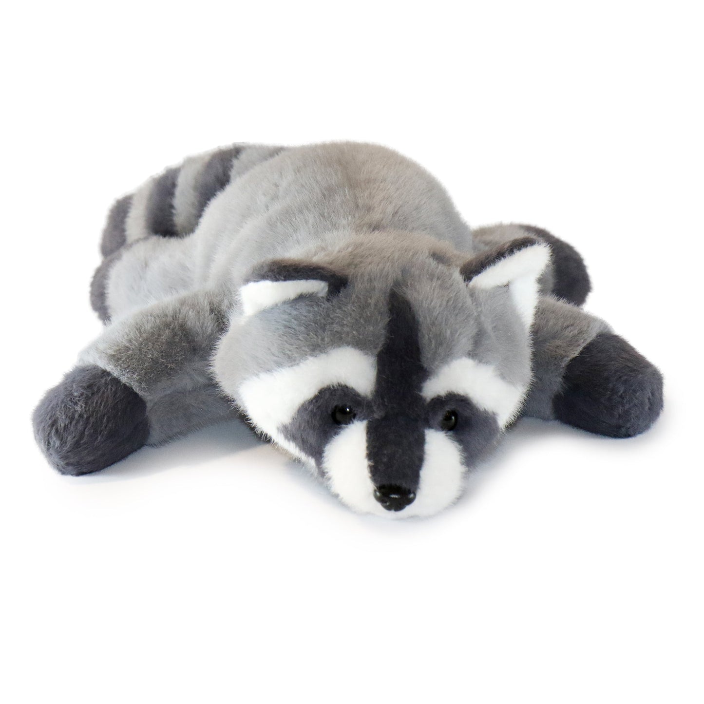 Bandit Raccoon