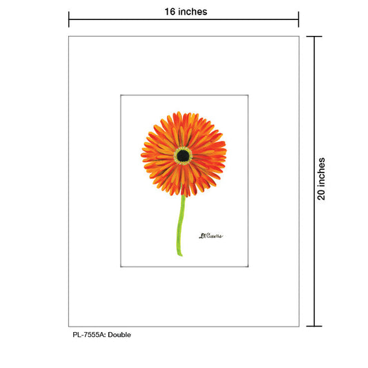 Double, Print (#7555A)
